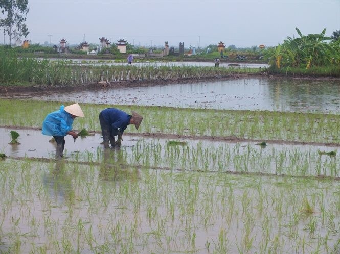 Nam Định giải quyết loạt vướng mắc về đất đai